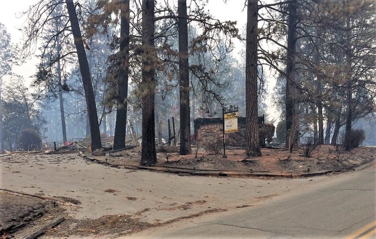 Donate to Arc staff “Camp Fire Fund”